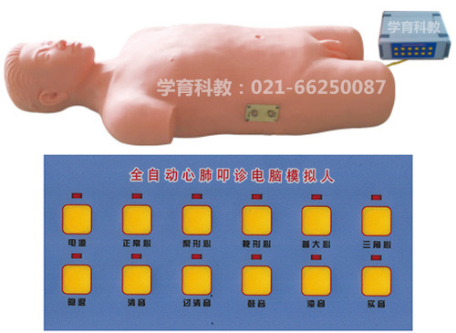 全自动心肺叩诊电脑模拟人